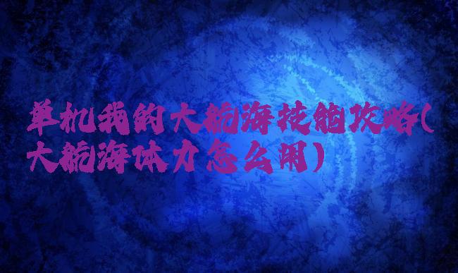 单机我的大航海技能攻略(大航海体力怎么用)