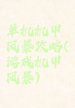 单机机甲风暴攻略(游戏机甲风暴)