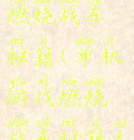 单机游戏燃烧战车秘籍(单机游戏燃烧战车秘籍大全)