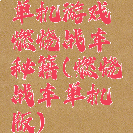 单机游戏燃烧战车秘籍(燃烧战车单机版)