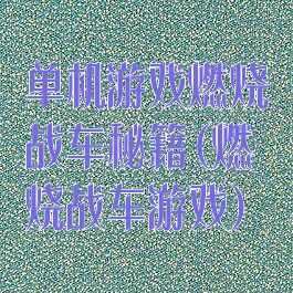 单机游戏燃烧战车秘籍(燃烧战车游戏)