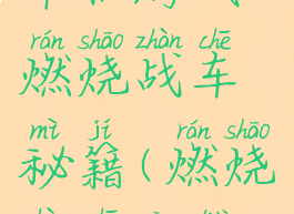 单机游戏燃烧战车秘籍(燃烧战车攻略)