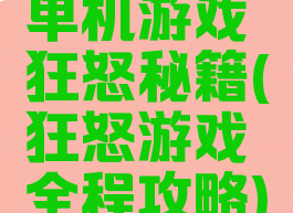 单机游戏狂怒秘籍(狂怒游戏全程攻略)