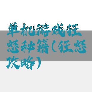 单机游戏狂怒秘籍(狂怒攻略)