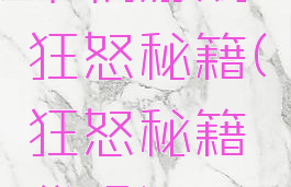 单机游戏狂怒秘籍(狂怒秘籍代码)