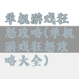 单机游戏狂怒攻略(单机游戏狂怒攻略大全)