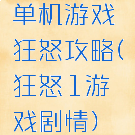 单机游戏狂怒攻略(狂怒1游戏剧情)