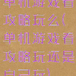 单机游戏看攻略玩么(单机游戏看攻略玩还是自己玩)