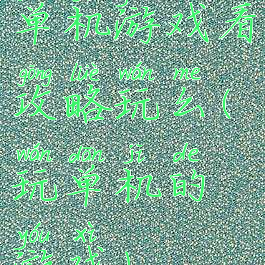 单机游戏看攻略玩么(玩单机的游戏)