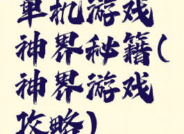 单机游戏神界秘籍(神界游戏攻略)