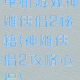 单机游戏神雕侠侣2秘籍(神雕侠侣2攻略心得)