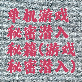 单机游戏秘密潜入秘籍(游戏秘密潜入)