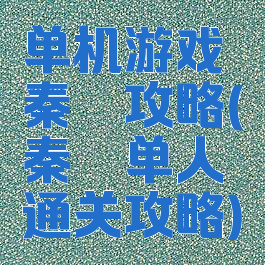 单机游戏秦殇攻略(秦殇单人通关攻略)