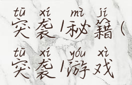 单机游戏突袭1秘籍(突袭1游戏攻略)