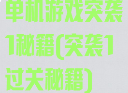 单机游戏突袭1秘籍(突袭1过关秘籍)