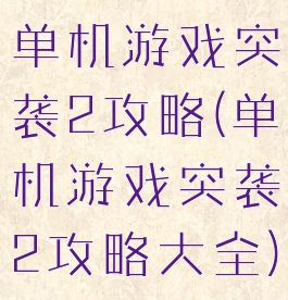 单机游戏突袭2攻略(单机游戏突袭2攻略大全)