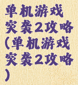 单机游戏突袭2攻略(单机游戏突袭2攻略)