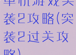 单机游戏突袭2攻略(突袭2过关攻略)