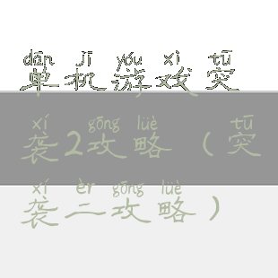 单机游戏突袭2攻略(突袭二攻略)