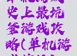 单机游戏史上最坑爹游戏攻略(单机游戏挖坑)