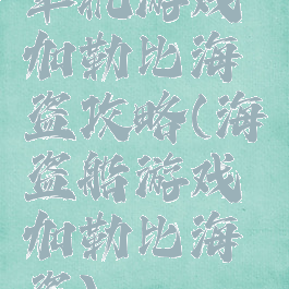 单机游戏加勒比海盗攻略(海盗船游戏加勒比海盗)