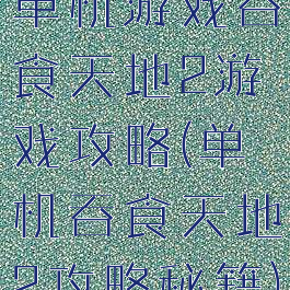 单机游戏吞食天地2游戏攻略(单机吞食天地2攻略秘籍)
