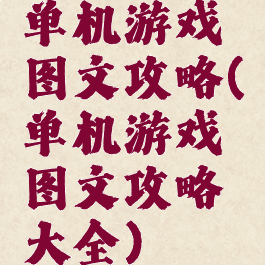 单机游戏图文攻略(单机游戏图文攻略大全)
