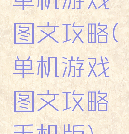 单机游戏图文攻略(单机游戏图文攻略手机版)
