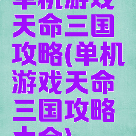 单机游戏天命三国攻略(单机游戏天命三国攻略大全)