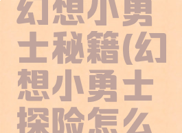 单机游戏幻想小勇士秘籍(幻想小勇士探险怎么打)