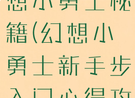 单机游戏幻想小勇士秘籍(幻想小勇士新手步入门心得攻略)
