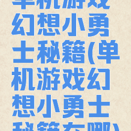 单机游戏幻想小勇士秘籍(单机游戏幻想小勇士秘籍在哪)