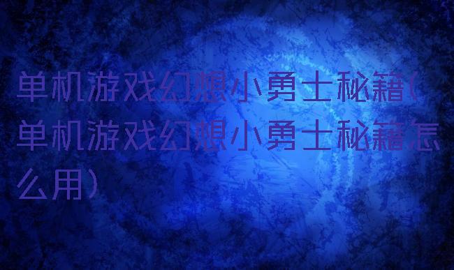 单机游戏幻想小勇士秘籍(单机游戏幻想小勇士秘籍怎么用)