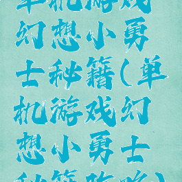 单机游戏幻想小勇士秘籍(单机游戏幻想小勇士秘籍攻略)