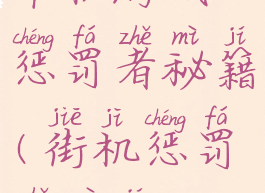 单机游戏惩罚者秘籍(街机惩罚者秘籍)