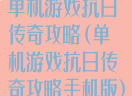 单机游戏抗日传奇攻略(单机游戏抗日传奇攻略手机版)