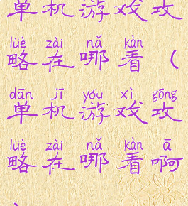 单机游戏攻略在哪看(单机游戏攻略在哪看啊)