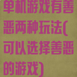 单机游戏有善恶两种玩法(可以选择善恶的游戏)