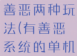 单机游戏有善恶两种玩法(有善恶系统的单机游戏)