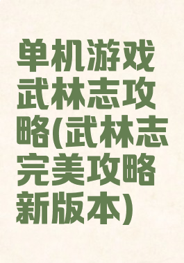单机游戏武林志攻略(武林志完美攻略新版本)