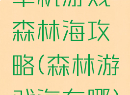 单机游戏森林海攻略(森林游戏海在哪)