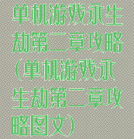 单机游戏永生劫第二章攻略(单机游戏永生劫第二章攻略图文)