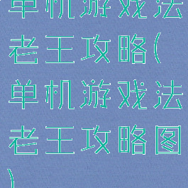 单机游戏法老王攻略(单机游戏法老王攻略图)