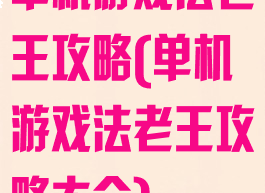 单机游戏法老王攻略(单机游戏法老王攻略大全)