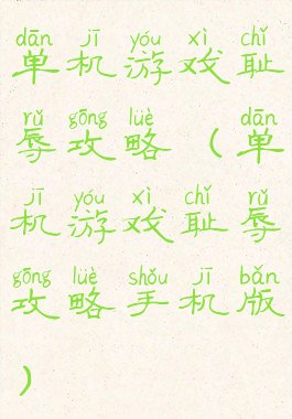 单机游戏耻辱攻略(单机游戏耻辱攻略手机版)