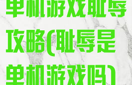 单机游戏耻辱攻略(耻辱是单机游戏吗)