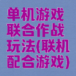 单机游戏联合作战玩法(联机配合游戏)