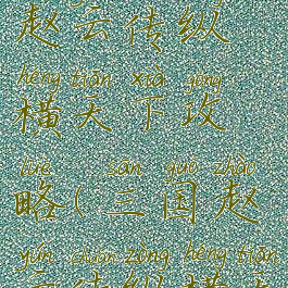 单机游戏赵云传纵横天下攻略(三国赵云传纵横天下攻略)