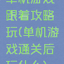 单机游戏跟着攻略玩(单机游戏通关后玩什么)