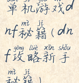 单机游戏dnf秘籍(dnf攻略新手秘籍)